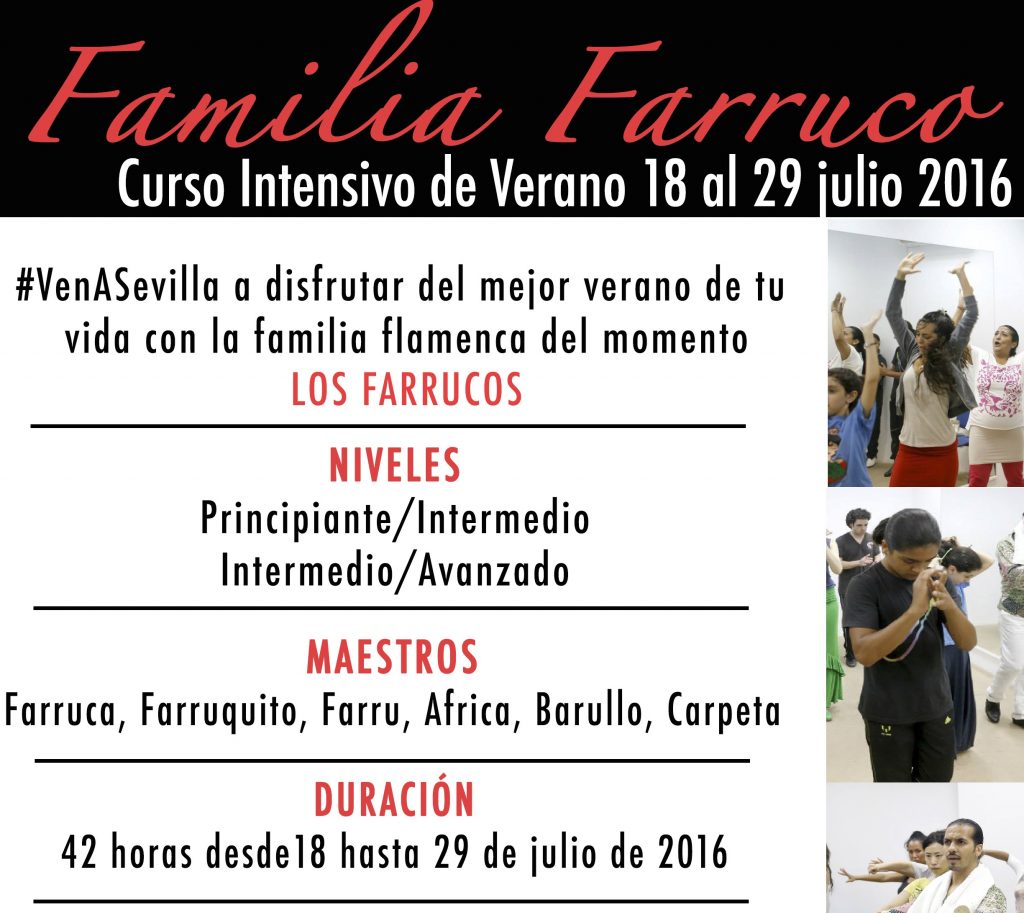 CURSO DE VERANO FAMILIA FARRUCO[2]